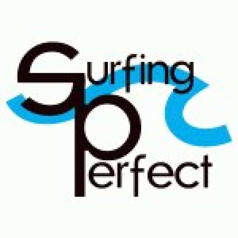 Cours de surf Surfing Perfect