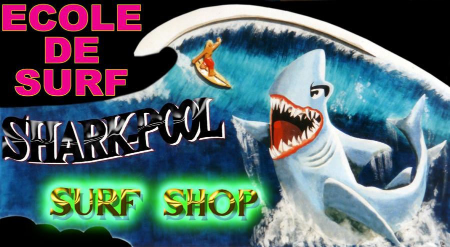 Cours de surf Sharkpool