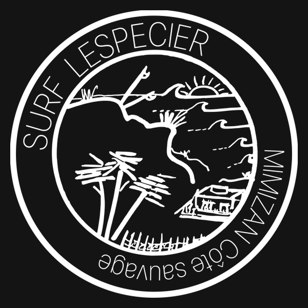 Cours de surf École de Surf de Lespecier