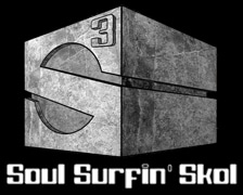 Cours de surf Soul Surfing Skol