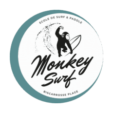 Cours de surf Monkey Surf